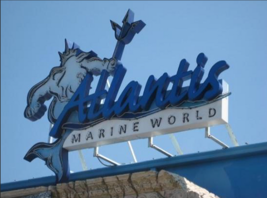 Adult Aquarium Ticket